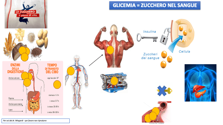 cura-diabete-vicenza-dott-roberto-mingardi Supporto Completo nella Cura del Diabete e delle Malattie della Tiroide Affrontare il diabete e le malattie della tiroide richiede un supporto completo e professionale. Il Dottor Roberto Mingardi è specializzato nella cura e consulenza per diabete e malattie della tiroide, offrendo soluzioni terapeutiche integrate a Vicenza in Veneto. Il nostro team multidisciplinare lavora insieme per fornire diagnosi accurate, piani di trattamento personalizzati e monitoraggio costante. Offriamo anche consulenze nutrizionali e supporto psicologico per affrontare ogni aspetto della malattia. Con noi, i pazienti ricevono un'assistenza completa per gestire efficacemente le loro condizioni e migliorare il benessere generale.