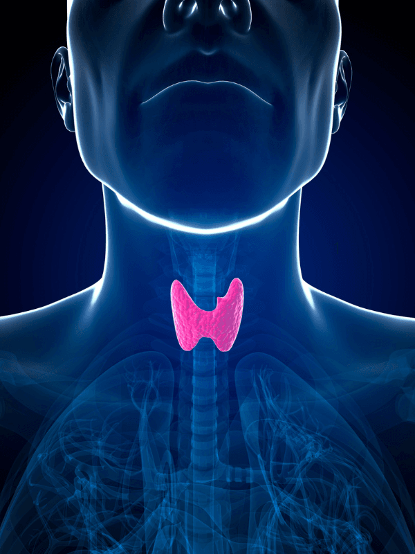 Dottor Roberto Mingardi: Specialista nella Cura dei Disturbi della Tiroide a Vicenza Il Dottor Roberto Mingardi è un rinomato endocrinologo specializzato nella cura dei disturbi della ghiandola tiroidea. Operando a Vicenza, il Dottor Mingardi impiega approcci terapeutici avanzati per trattare condizioni come ipotiroidismo, ipertiroidismo e gozzo. Grazie alla sua vasta esperienza e alla profonda conoscenza del campo, è in grado di offrire diagnosi accurate e piani di trattamento personalizzati che mirano al benessere complessivo del paziente.