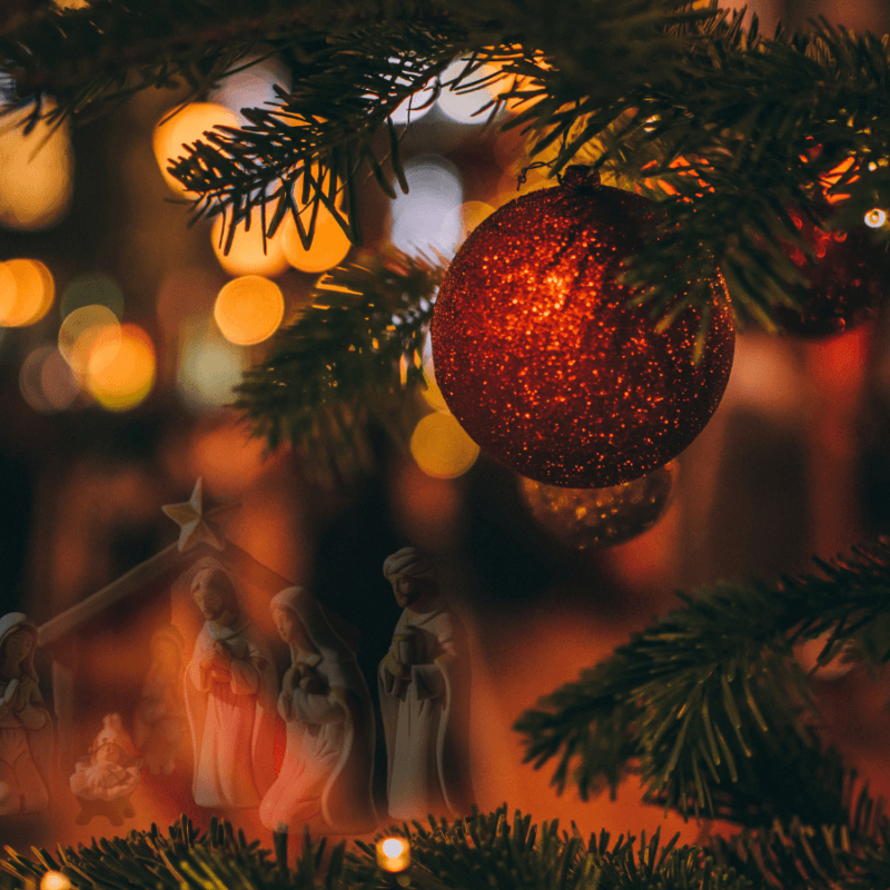 Il Natale è per me un tempo che invita alla riflessione, alla cura e alla riscoperta del valore autentico della vita. Nel mio lavoro, come dott. Roberto Mingardi, vivo il Natale come un’occasione per ricordare che prendersi cura non significa solo curare un corpo, ma accogliere la persona nella sua interezza. La fragilità non è un limite, ma un luogo di incontro e di umanità. In questo Natale sereno, la cura diventa ascolto, presenza e rispetto profondo della dignità di ogni vita. Il mio augurio va oltre la salute, per ritrovare pace, fiducia e vicinanza anche nei momenti più delicati.